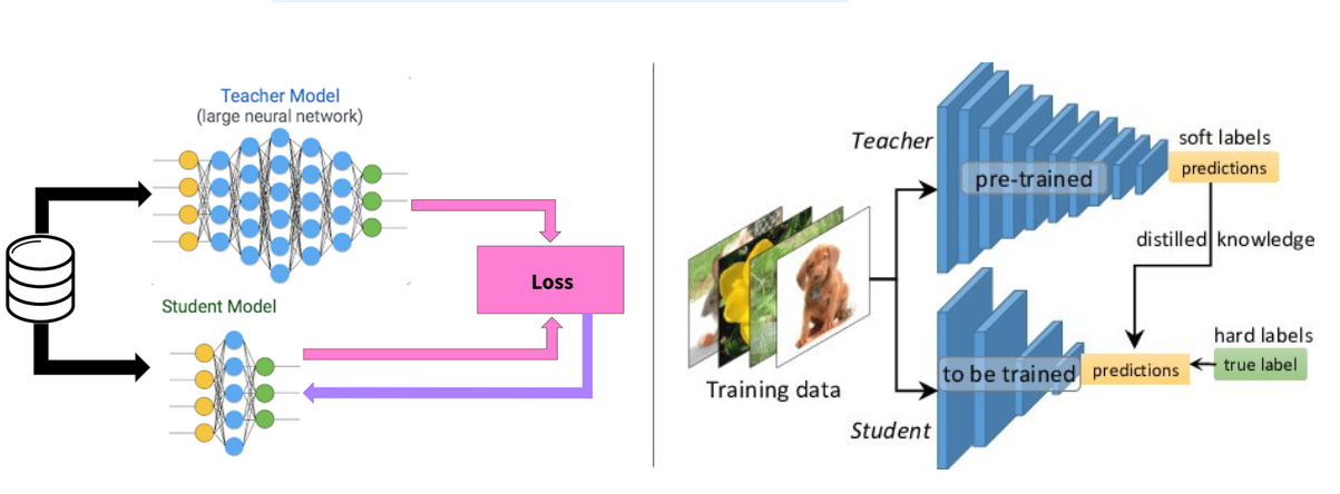 Knowledge distillation