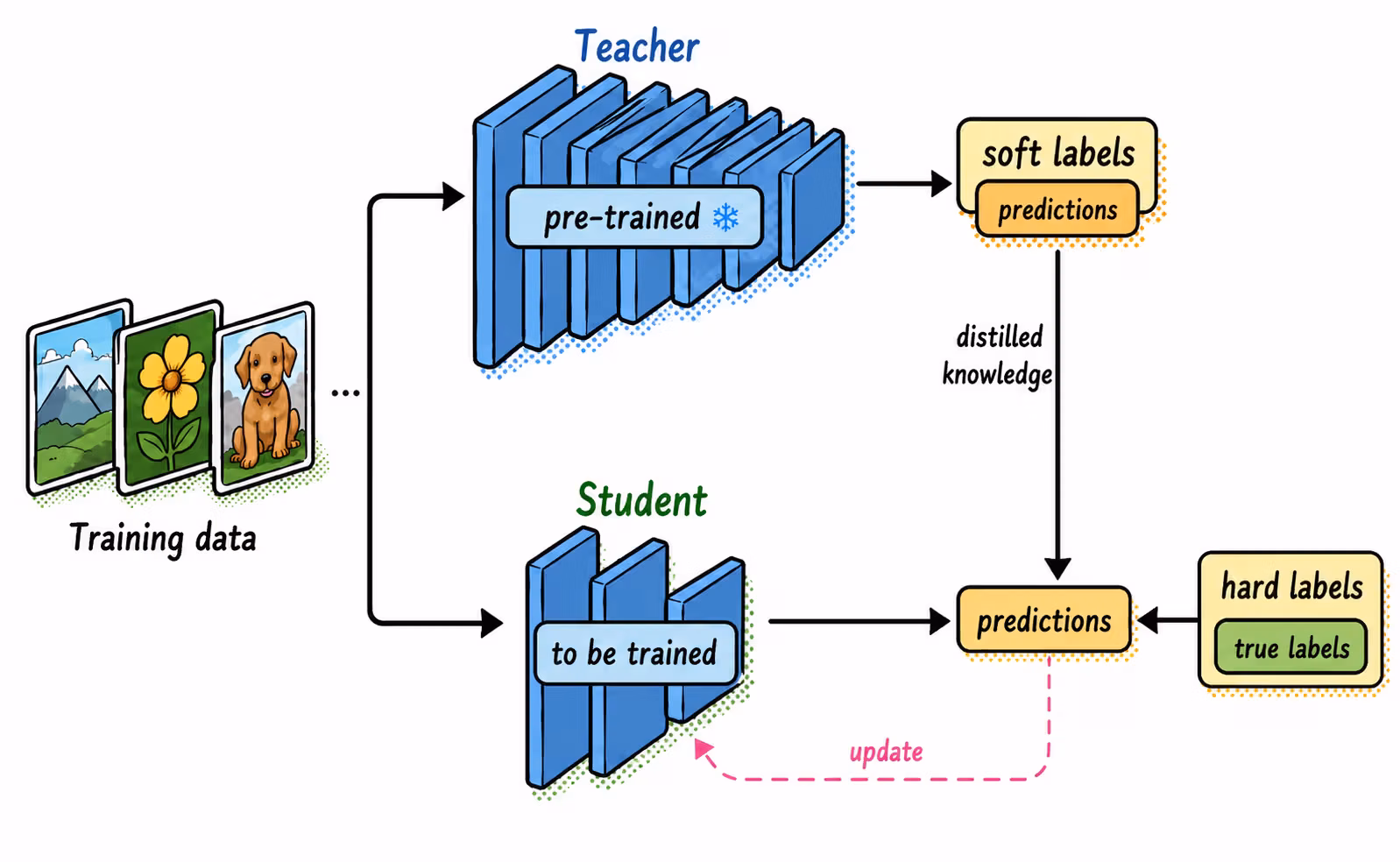 Knowledge distillation