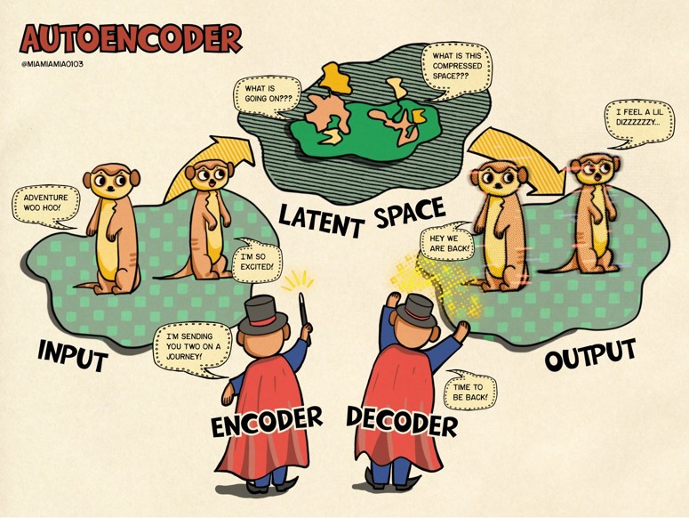 RapidAE: a library to deal with Autoencoders