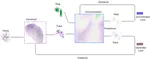 Graphical analysis of the progression of atrial arrhythmia through an ensemble of Generative Adversarial Network Discriminators