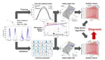 Data-driven direct diagnosis of Li-ion batteries connected to photovoltaics